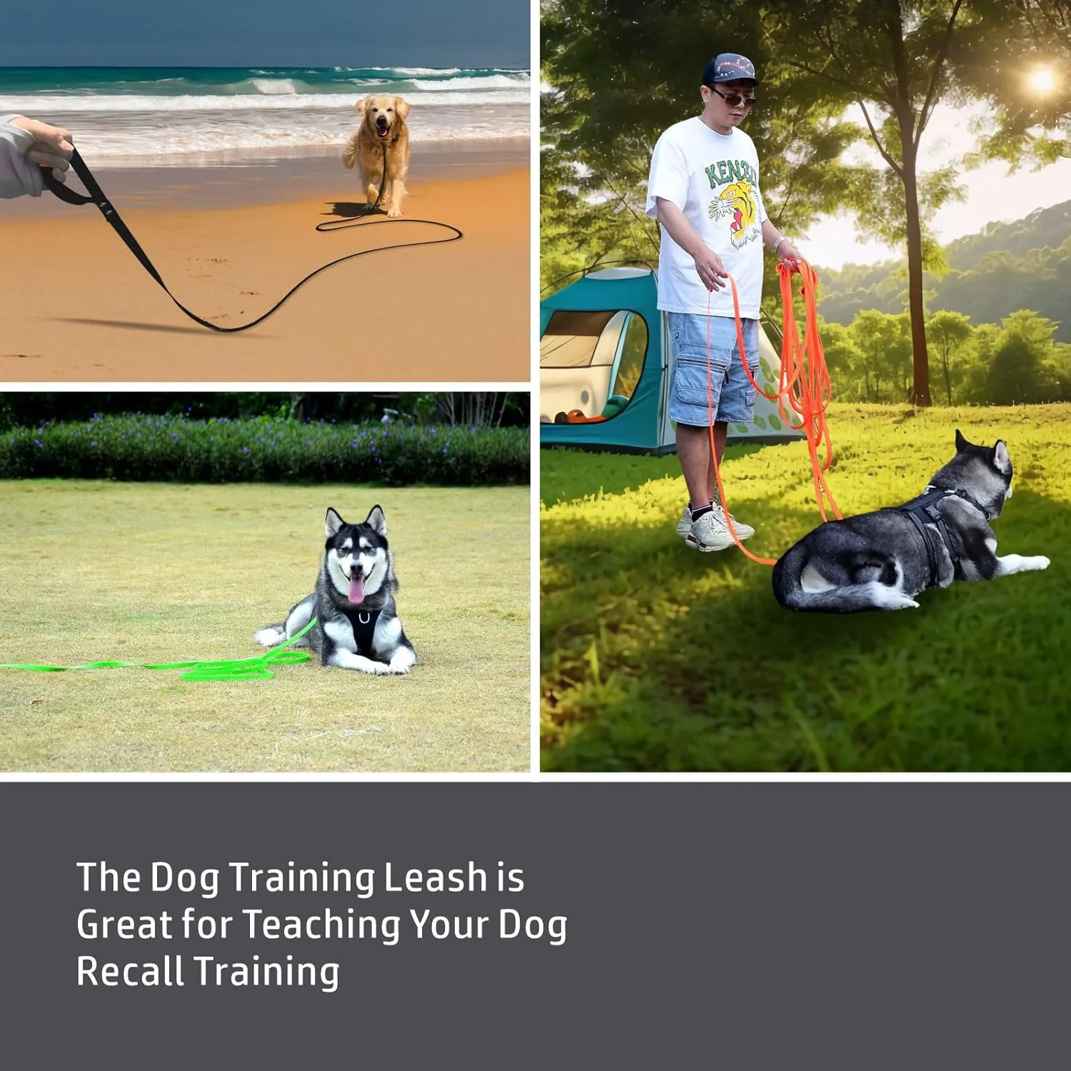 Dog Training Leash,Easy to Clean Waterproof Long Dog Leash, Heavy Duty Recall Dog Long Lead 6ft 10ft 15ft 30ft 50ft for Hiking,Yard, Beach and Swimming (Black, 10FT)