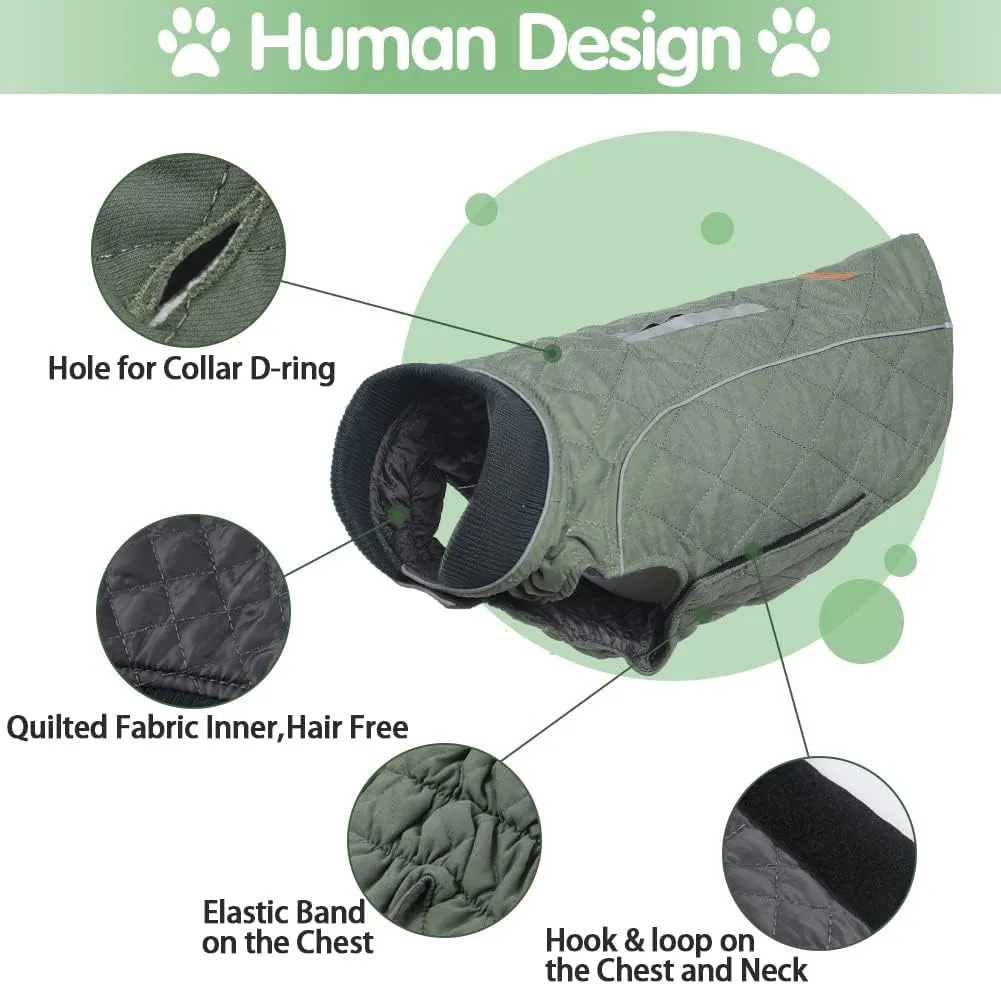 EMUST British Style Windproof Warm Dog Coat, Polyester, Green, X-Small(Pack of 1)