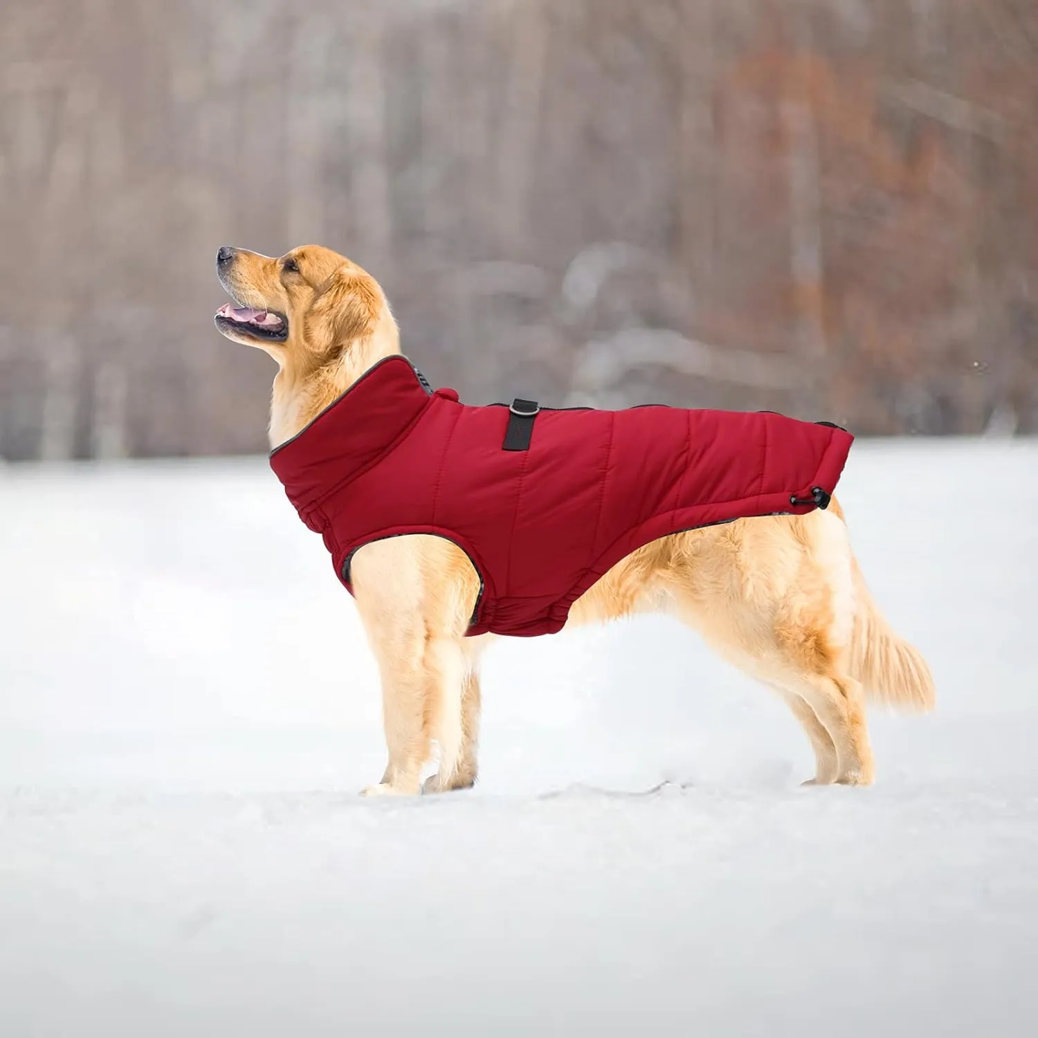 Geyecete Dog Winter Warm Coat - Windproof Snowproof Pet Outdoor Jacket for Small to Large Dogs - Red - XS