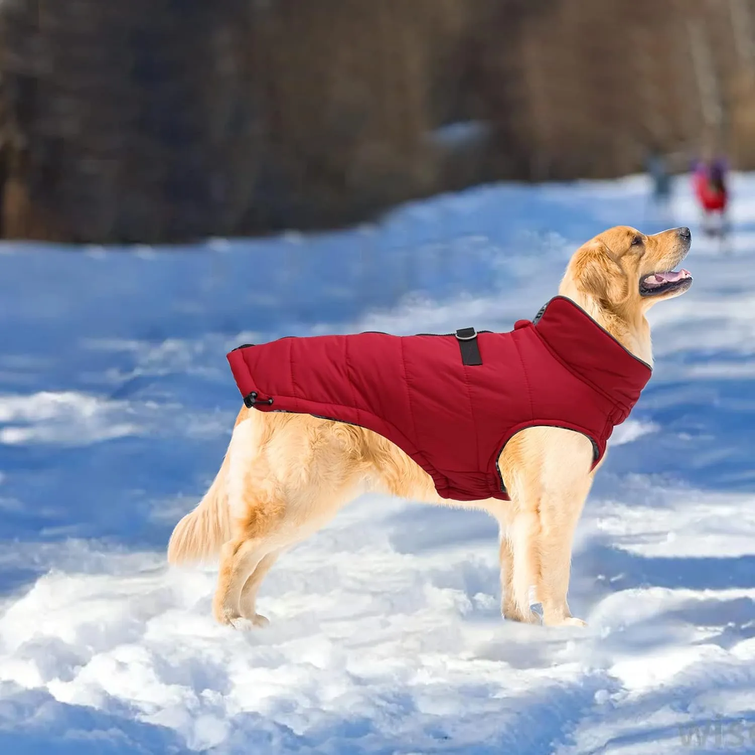 Geyecete Dog Winter Warm Coat - Windproof Snowproof Pet Outdoor Jacket for Small to Large Dogs - Red - XS