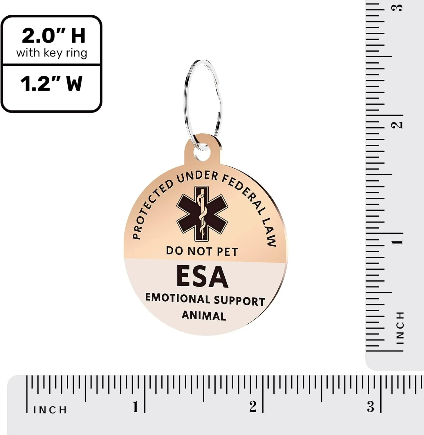 MYLUCKYTAG ESA Tag - QR Code Digital Pet ID, Stainless Steel, Engraved, Email Alerts
