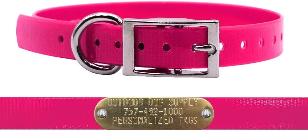 Outdoor Dog Supply's 3/4" Wide Solid D Ring Dog Collar Strap with Custom Brass Name Plate (Pink)