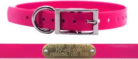 Outdoor Dog Supply's 3/4" Wide Solid D Ring Dog Collar Strap with Custom Brass Name Plate (Pink)