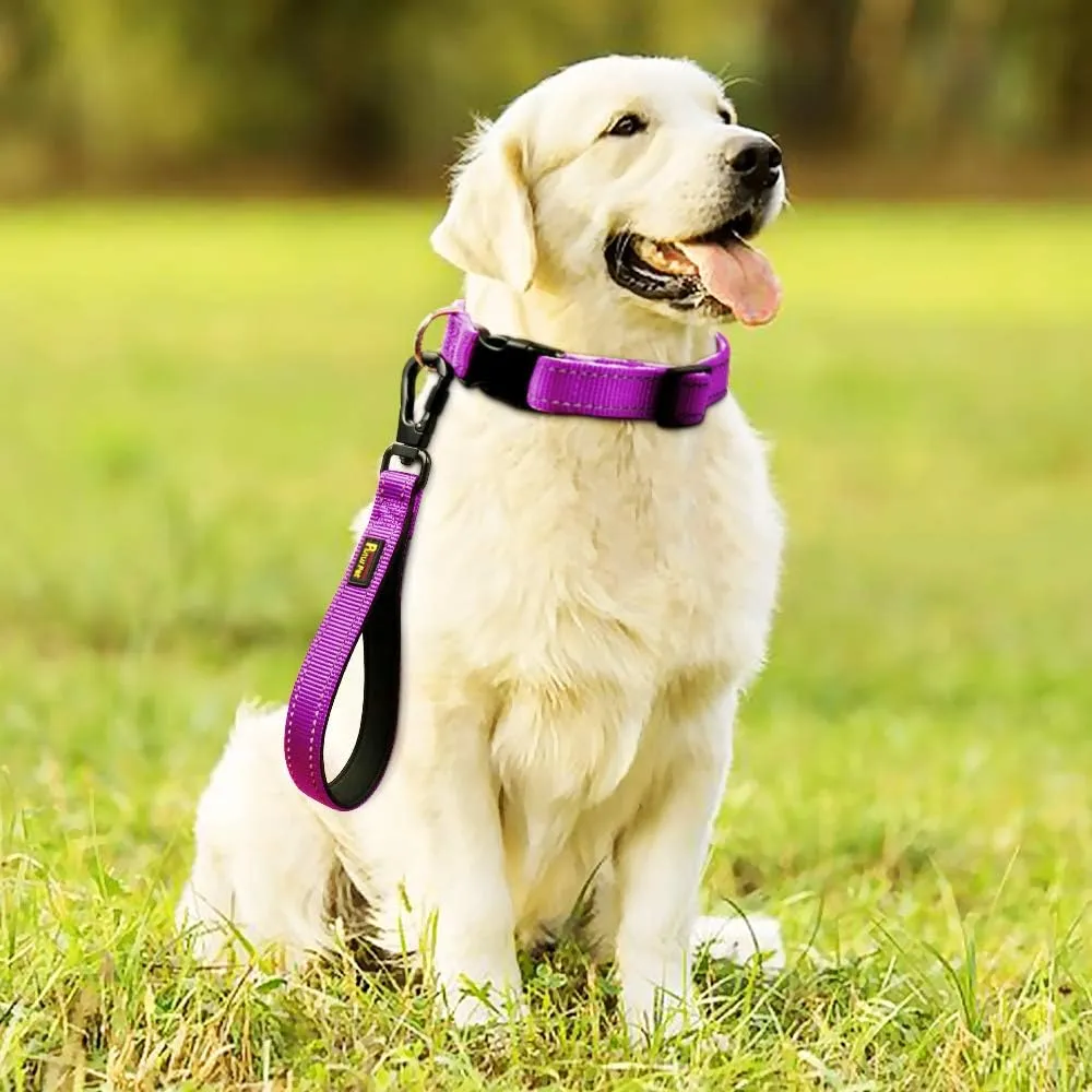 PLUTUS PET 10 Short Dog Leash, Reflective Nylon Padded Handle, Strong Traffic Leash with Carabiner Clip, Perfect for Large or Medium Dogs10Purple