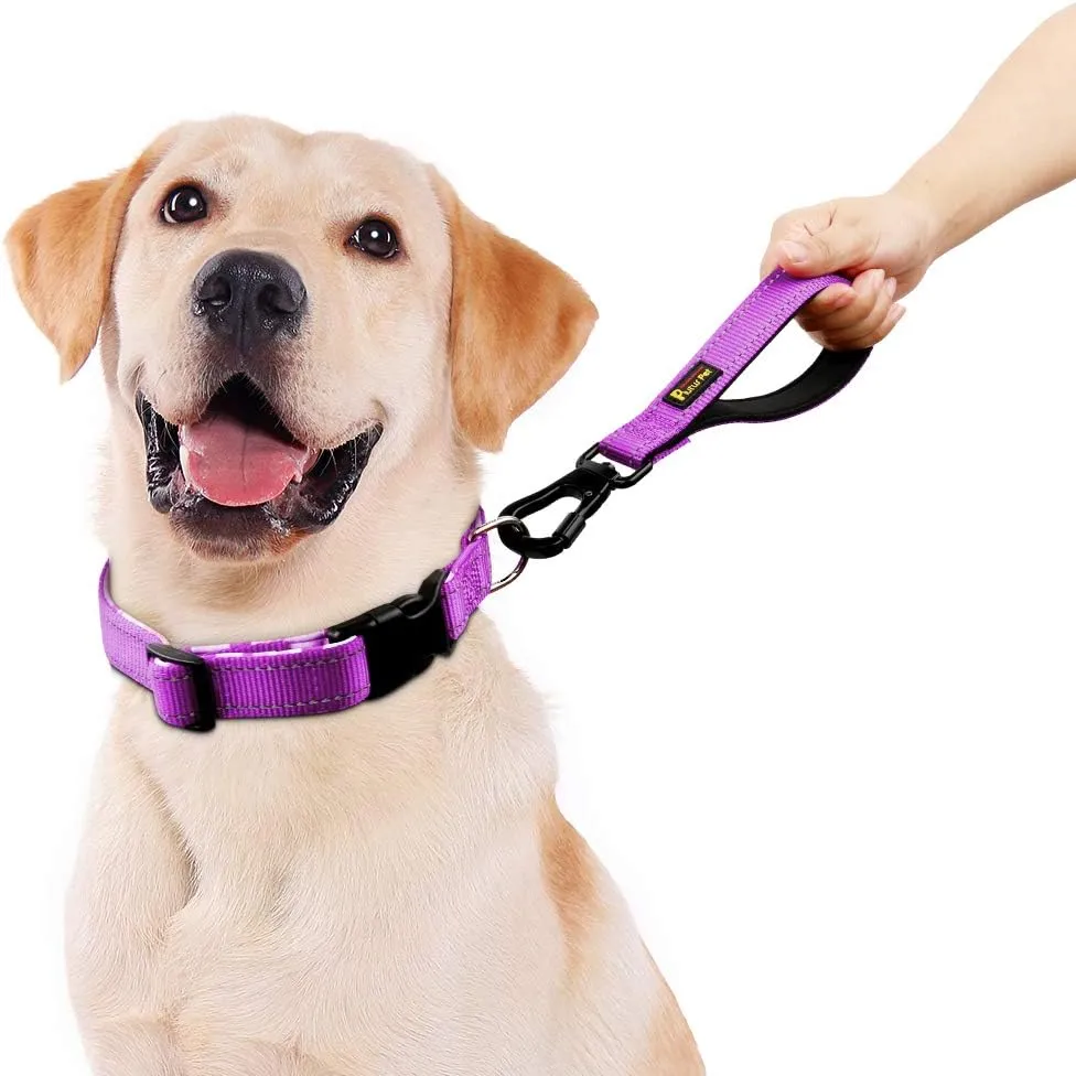 PLUTUS PET 10 Short Dog Leash, Reflective Nylon Padded Handle, Strong Traffic Leash with Carabiner Clip, Perfect for Large or Medium Dogs10Purple